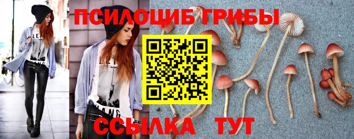 Галлюциногенные грибы Psilocybe  Вход с VPN  Котельники 
